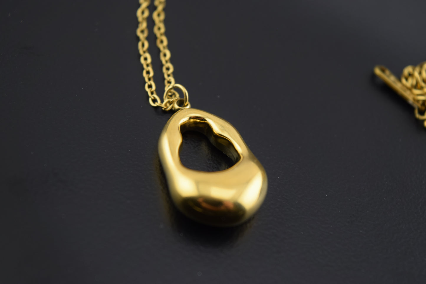 Golden Hollow Necklace